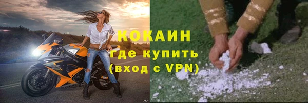 шишки Беломорск